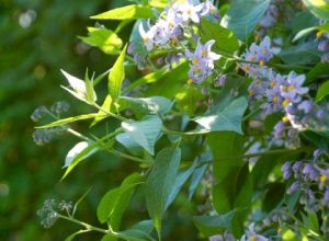 Vacation South England Sussex