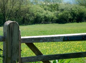 Self catering accommodation East Sussex UK