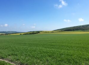 Self catering cottage South England